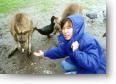 thumbs/20000607_australia/australia5.jpg