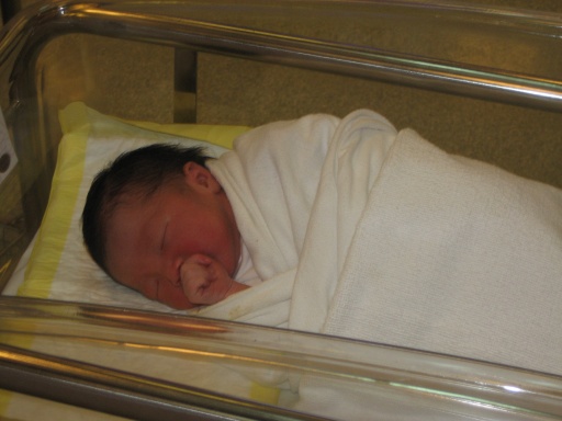 Web Sailor S Personal Blog Entries From February 2007